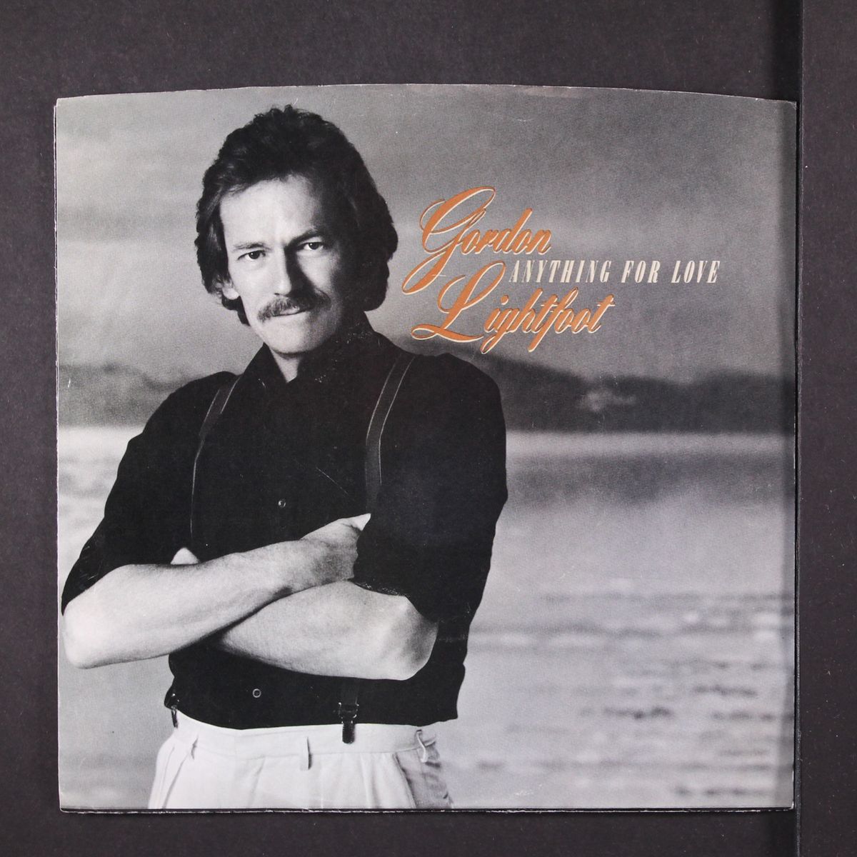 anything for love by GORDON LIGHTFOOT