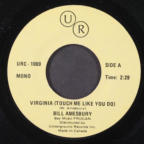 BILL AMESBURY / SONNY SINBAD