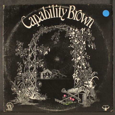 CAPABILITY BROWN