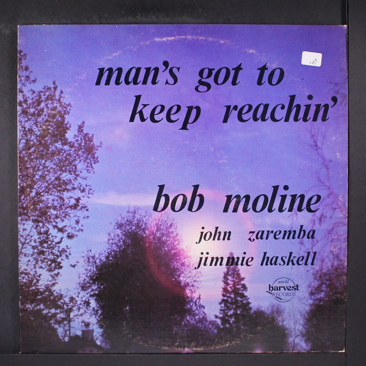 man's gotta keep reachin' by BOB MOLINE