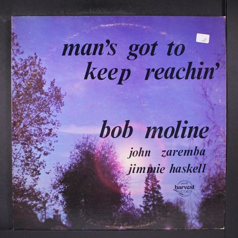 BOB MOLINE