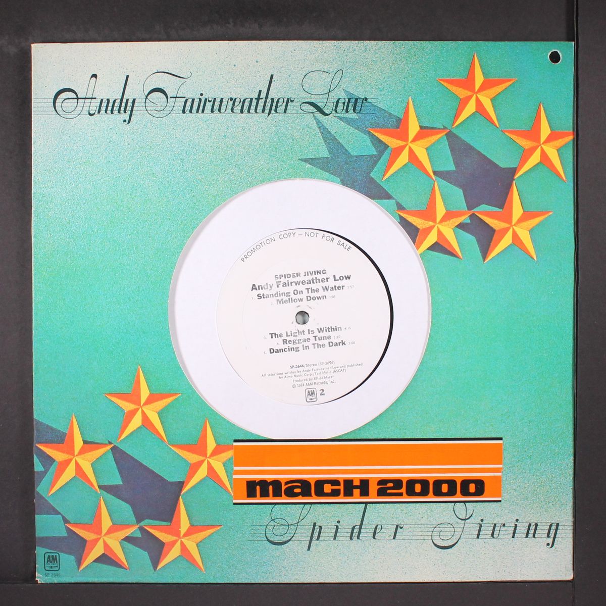 spider jiving by ANDY FAIRWEATHER-LOW