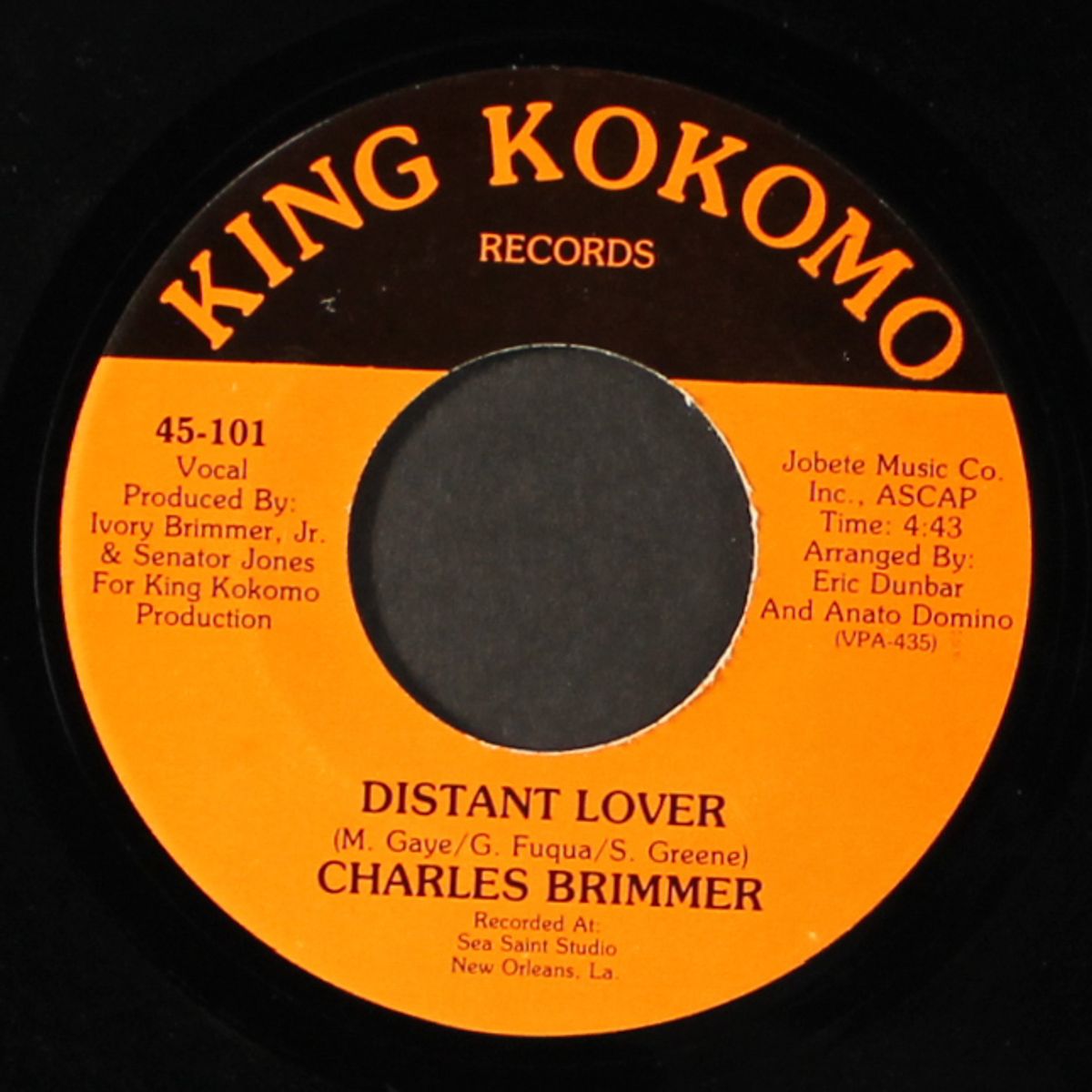 distant lover by CHARLES BRIMMER