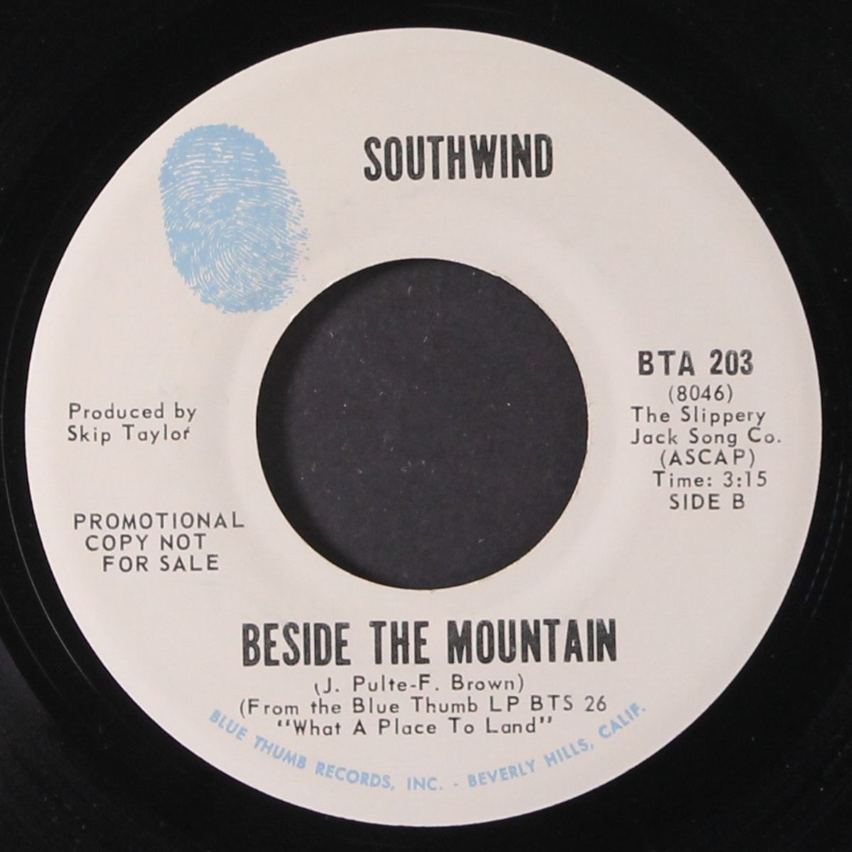 please don't hitchhike / beside the mountain by SOUTHWIND