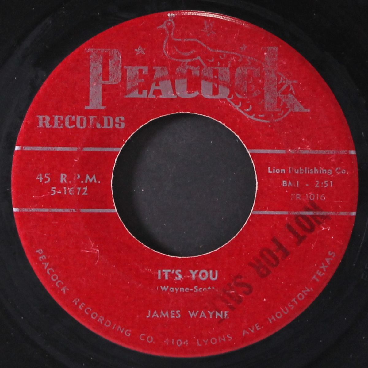 it's you / please be mine by JAMES WAYNE