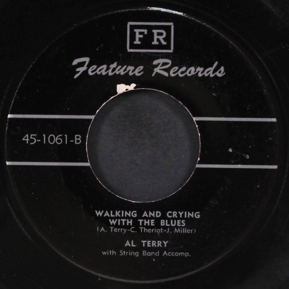 i wonder if i can lose the blues this way / walking and crying with the blues by AL TERRY