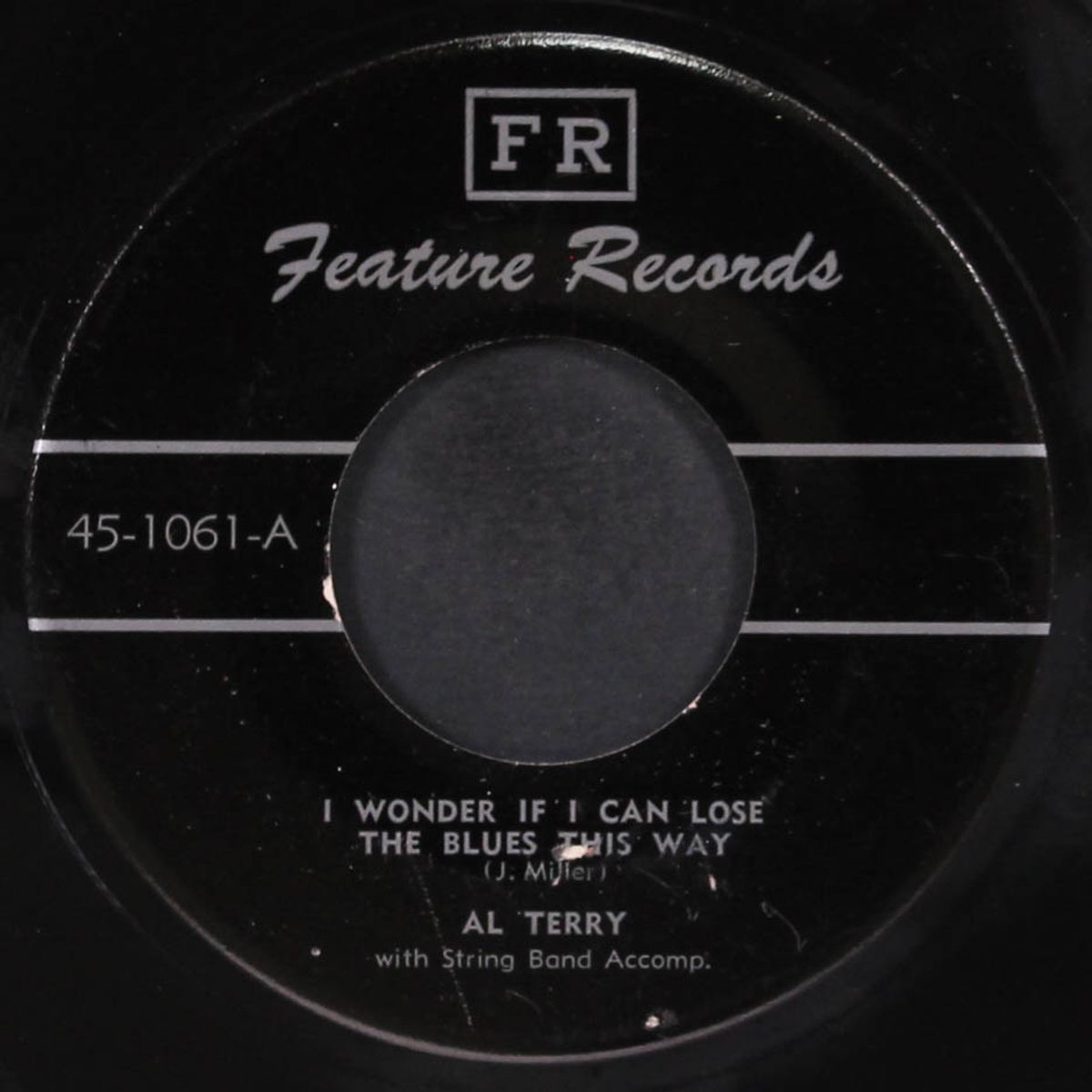 i wonder if i can lose the blues this way / walking and crying with the blues by AL TERRY