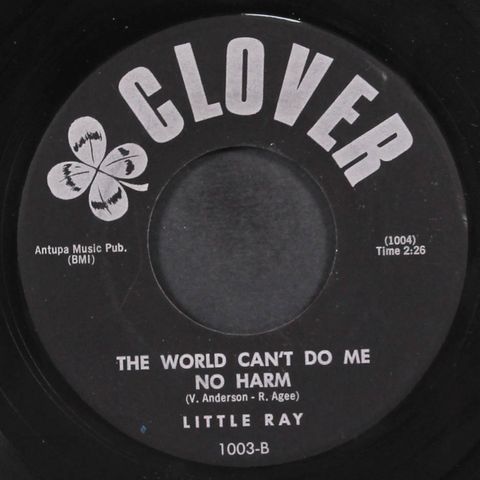 LITTLE RAY