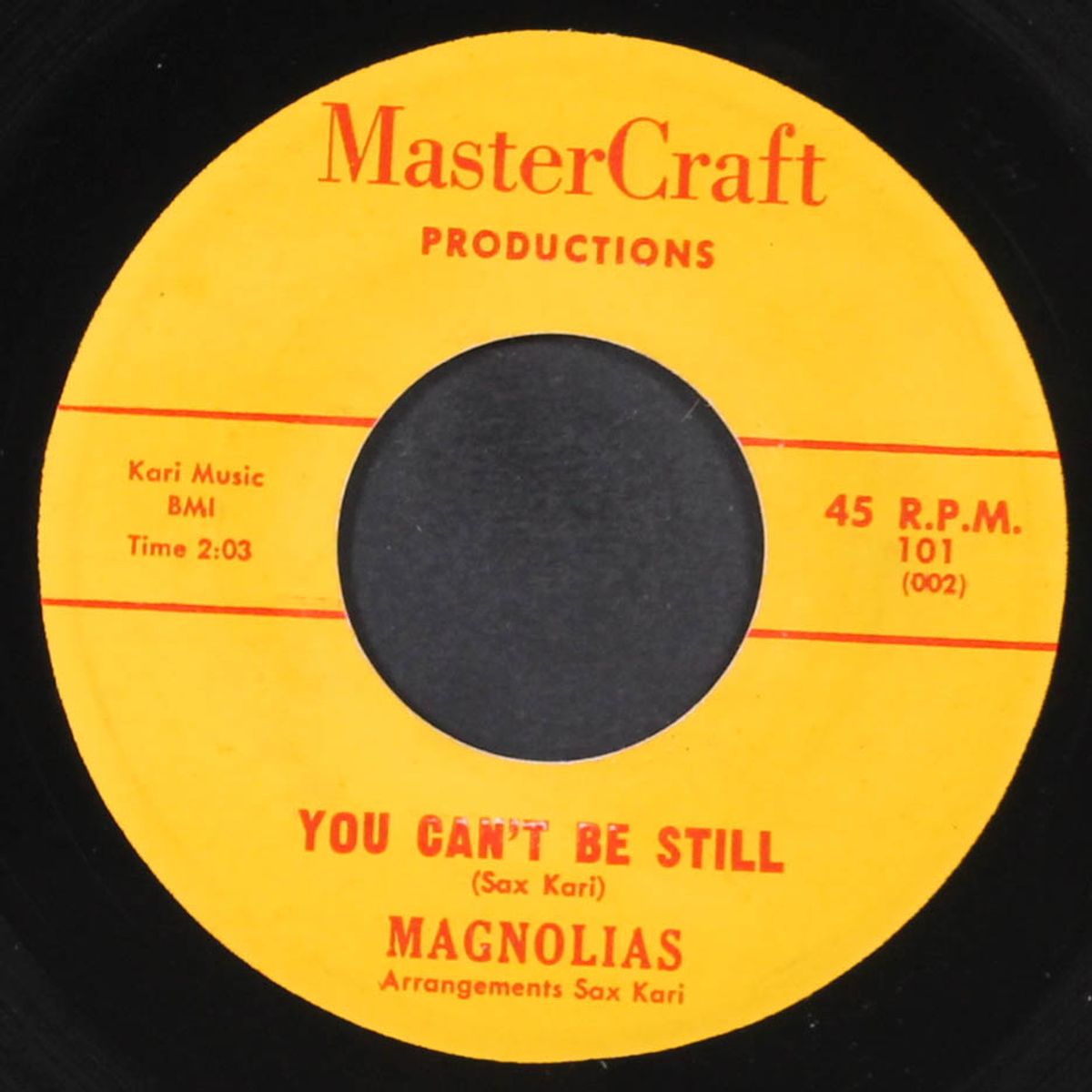 you can't be still / april in paris by MAGNOLIAS