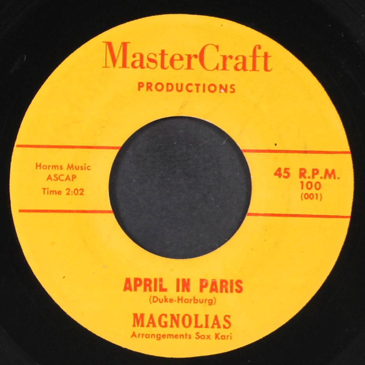 you can't be still / april in paris by MAGNOLIAS