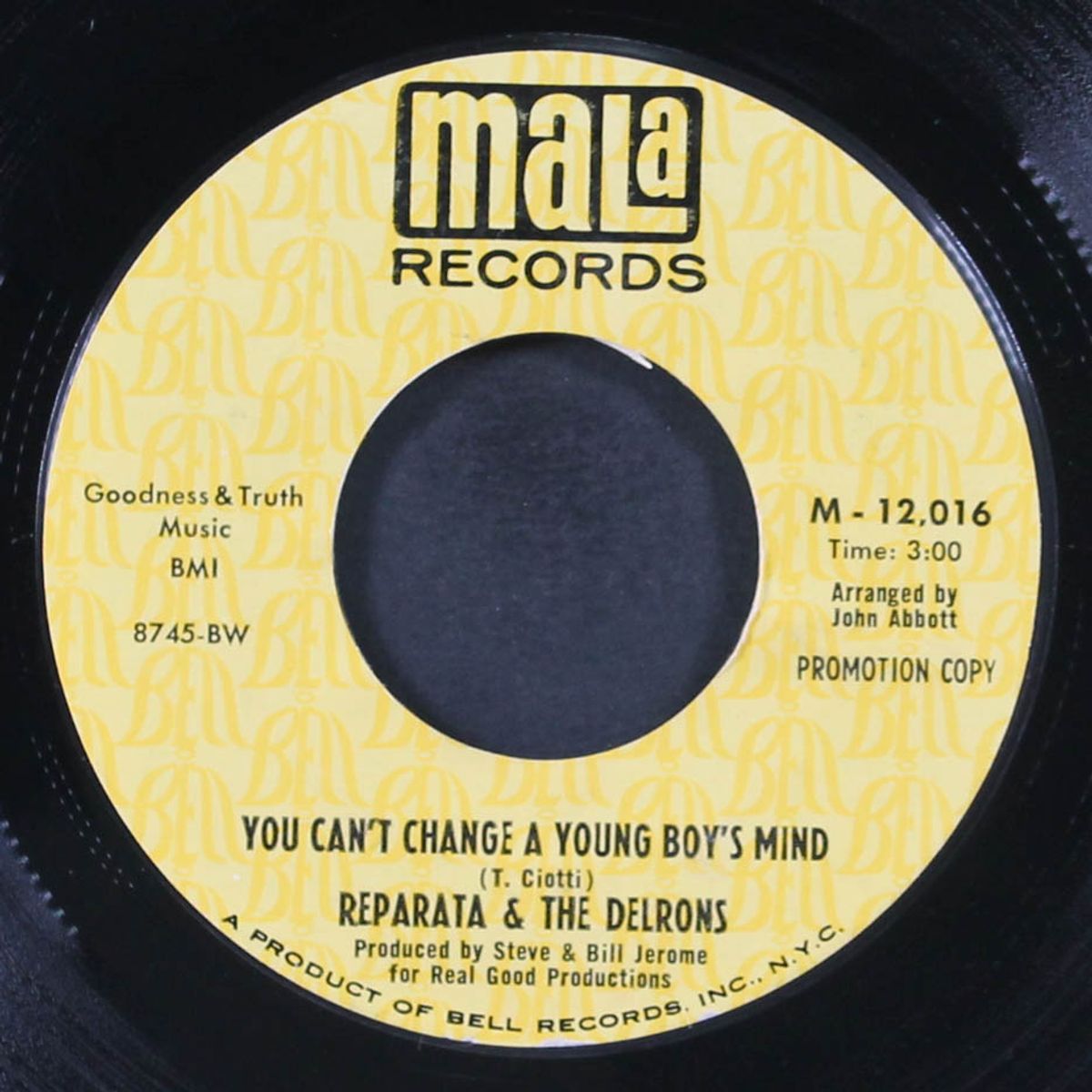 weather forecast / you can't change a young boy's mind by REPARATA & DELRONS