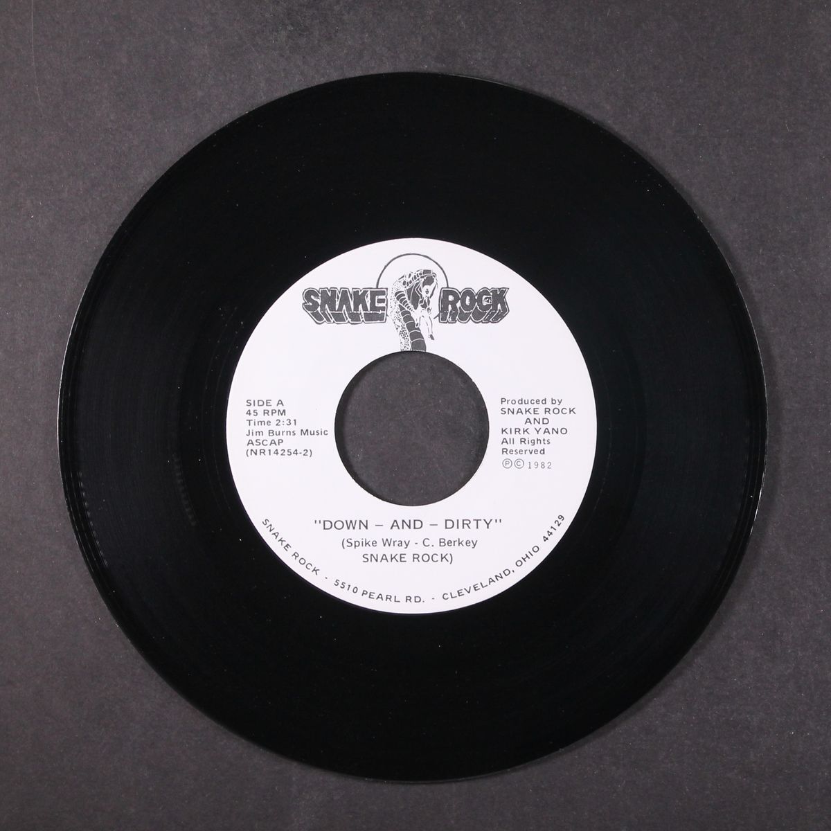 down and dirty / i don't care by SNAKE ROCK