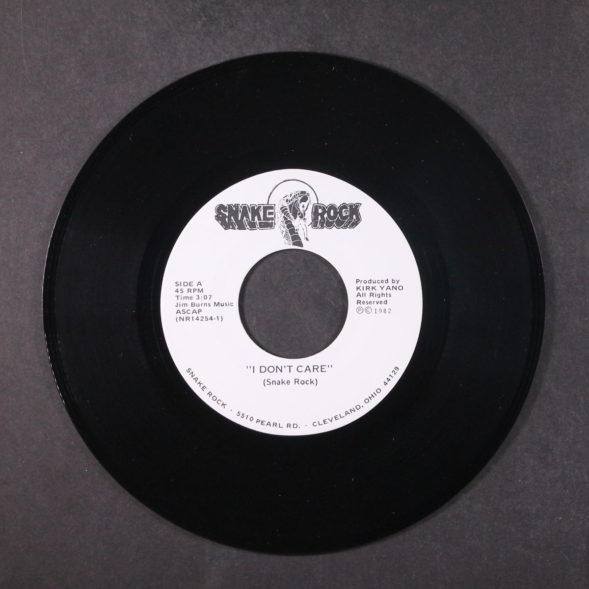down and dirty / i don't care by SNAKE ROCK