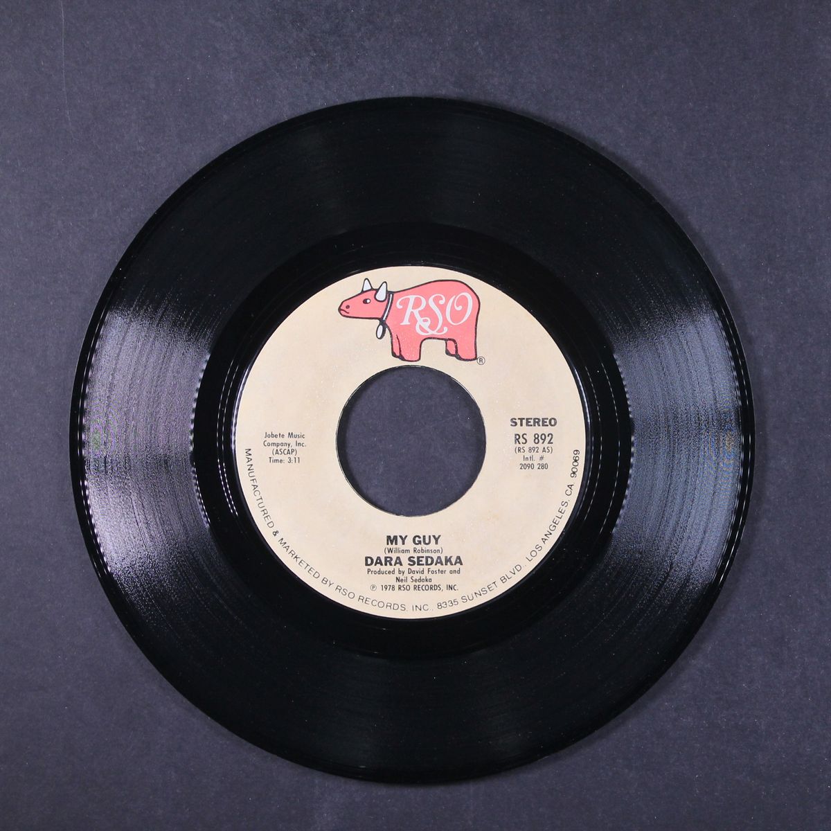 my guy by DARA SEDAKA