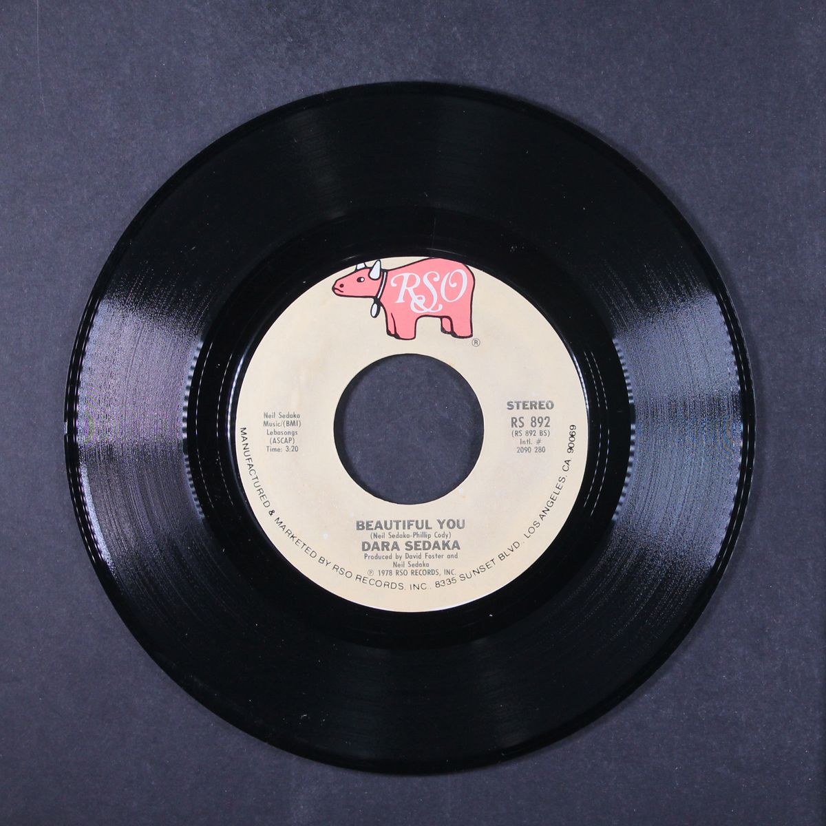 my guy by DARA SEDAKA