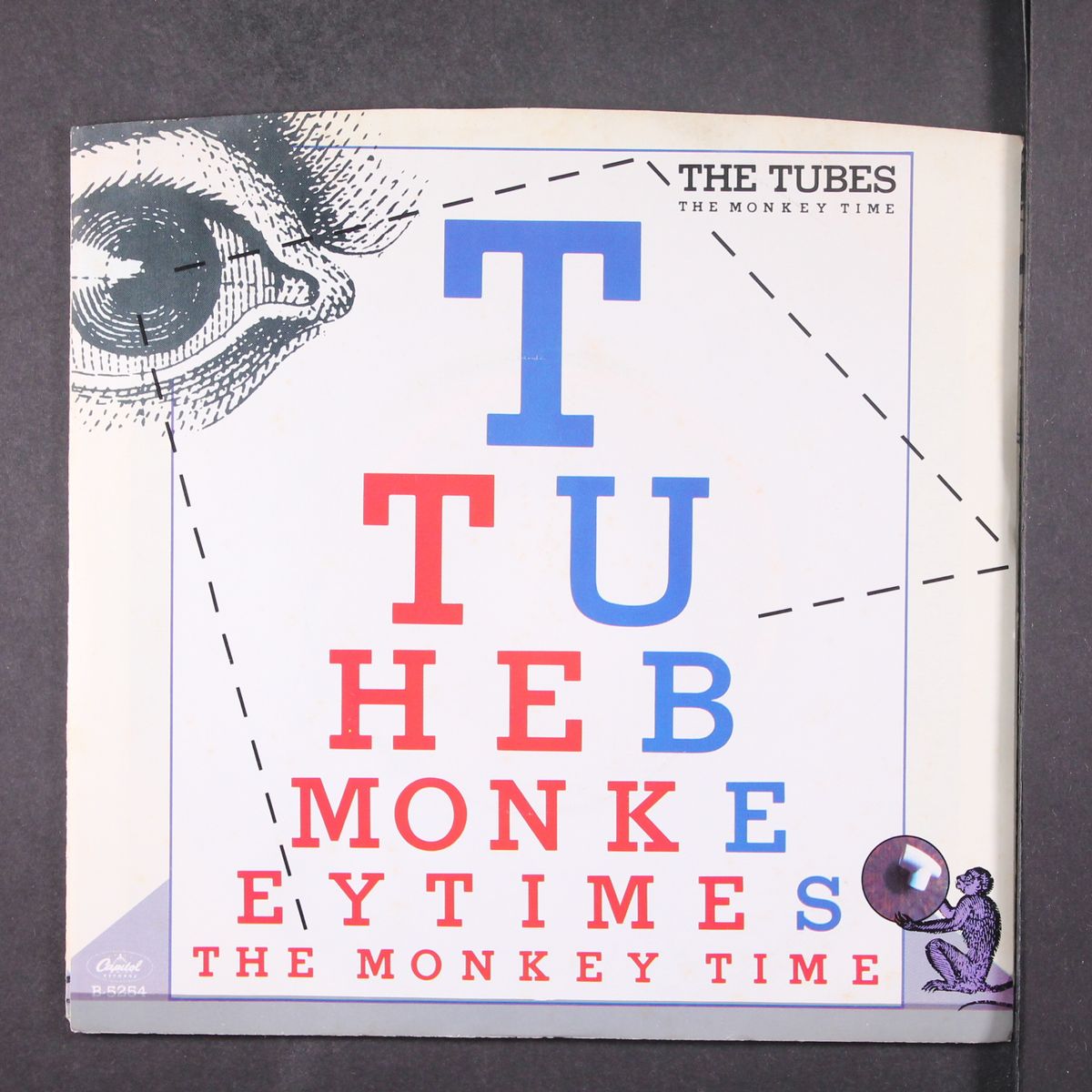the monkey time / sports fans by TUBES