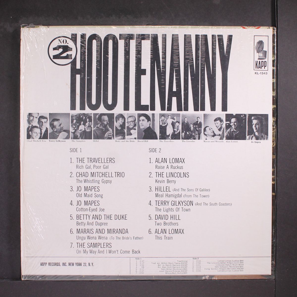 at the hootenanny, vol. 2 by VARIOUS
