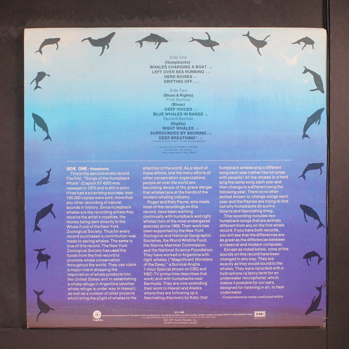 the second whale record by DEEP VOICES