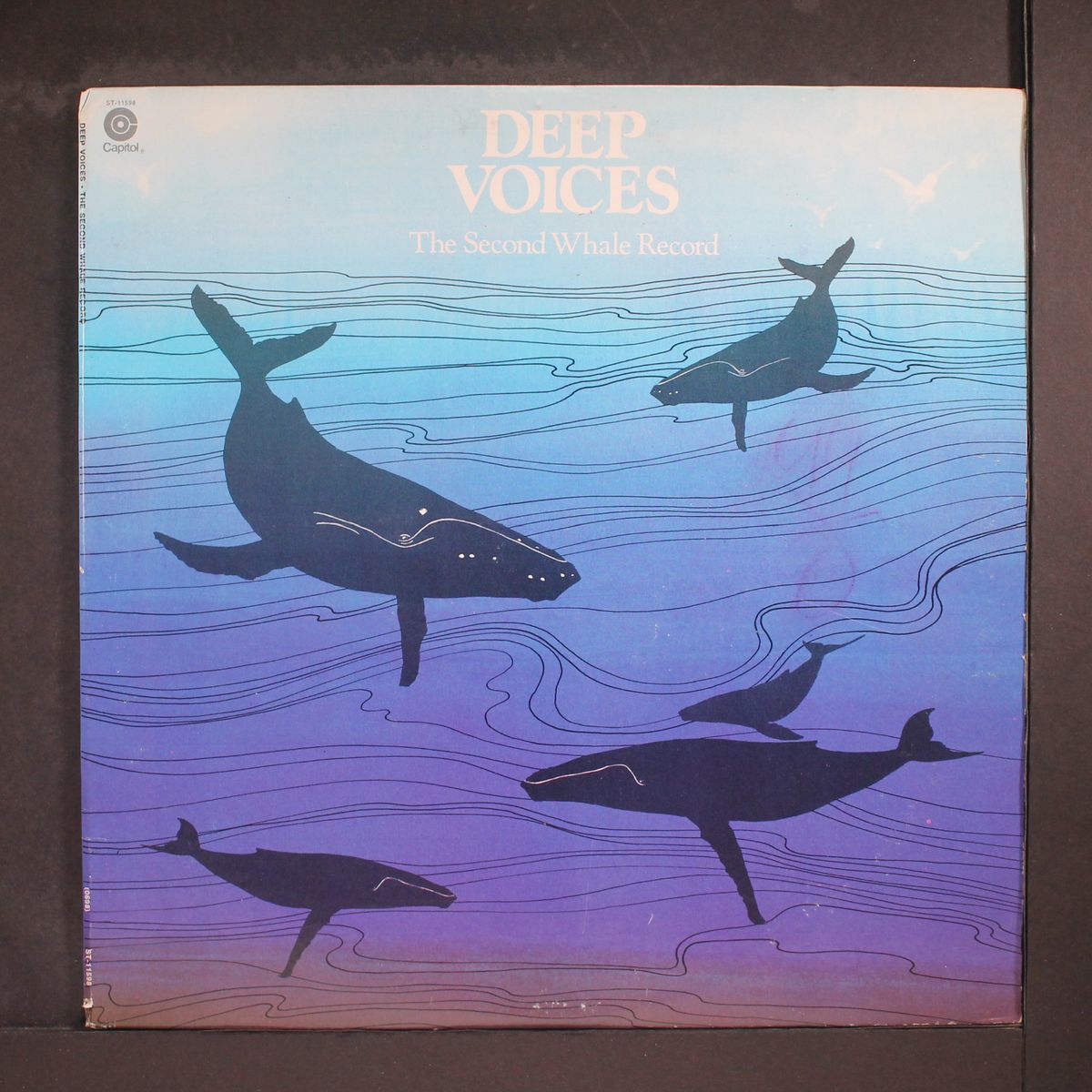the second whale record by DEEP VOICES