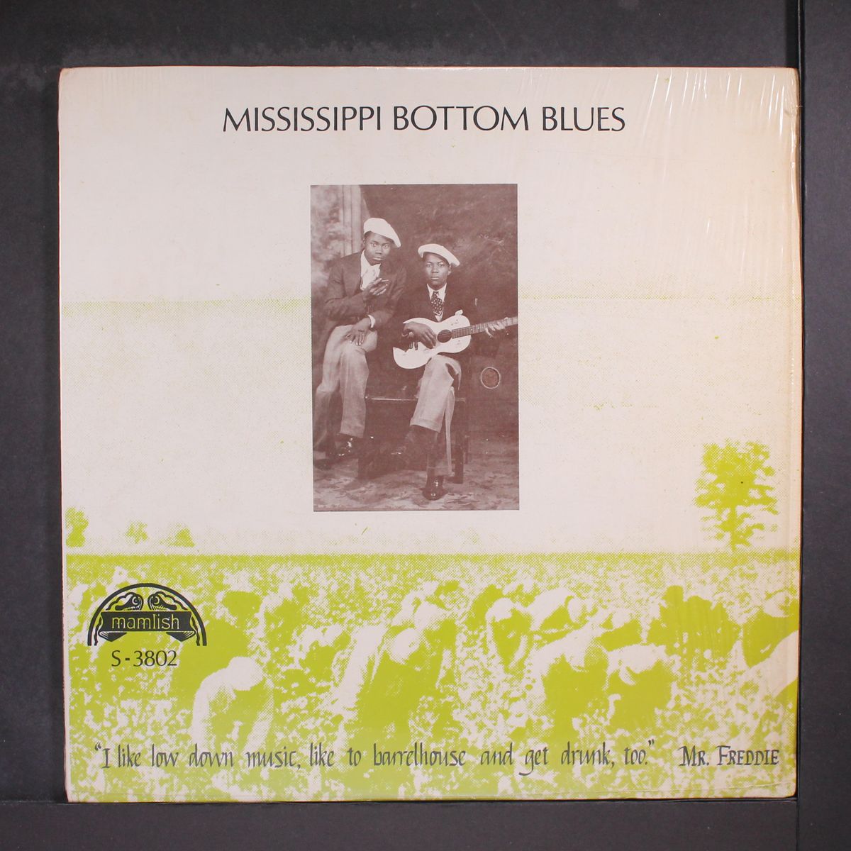 mississippi bottom blues by VARIOUS