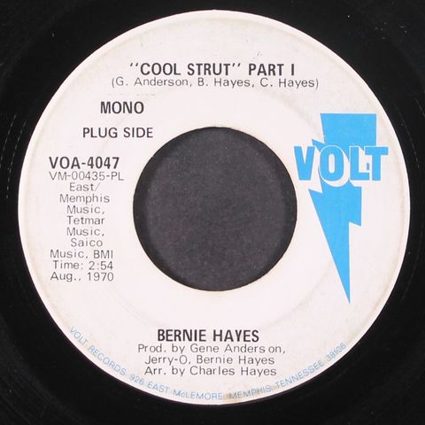 BERNIE HAYES
