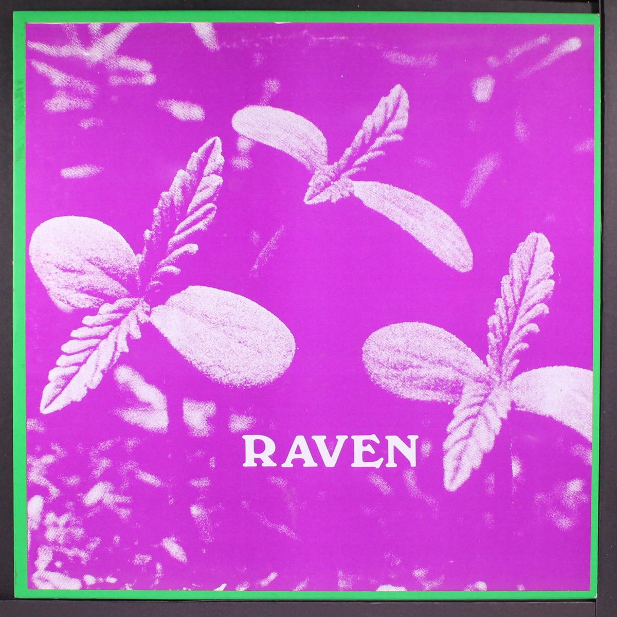 back to ohio blues by RAVEN