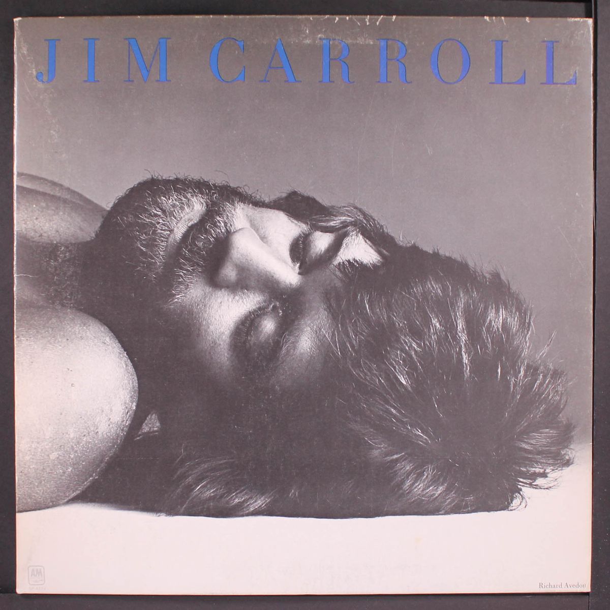 jim carroll by JIM CARROLL