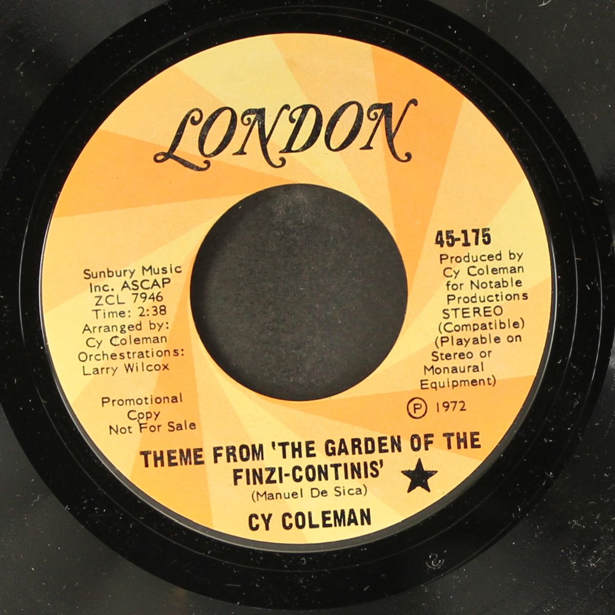 theme from the garden of finzi-continis by CY COLEMAN