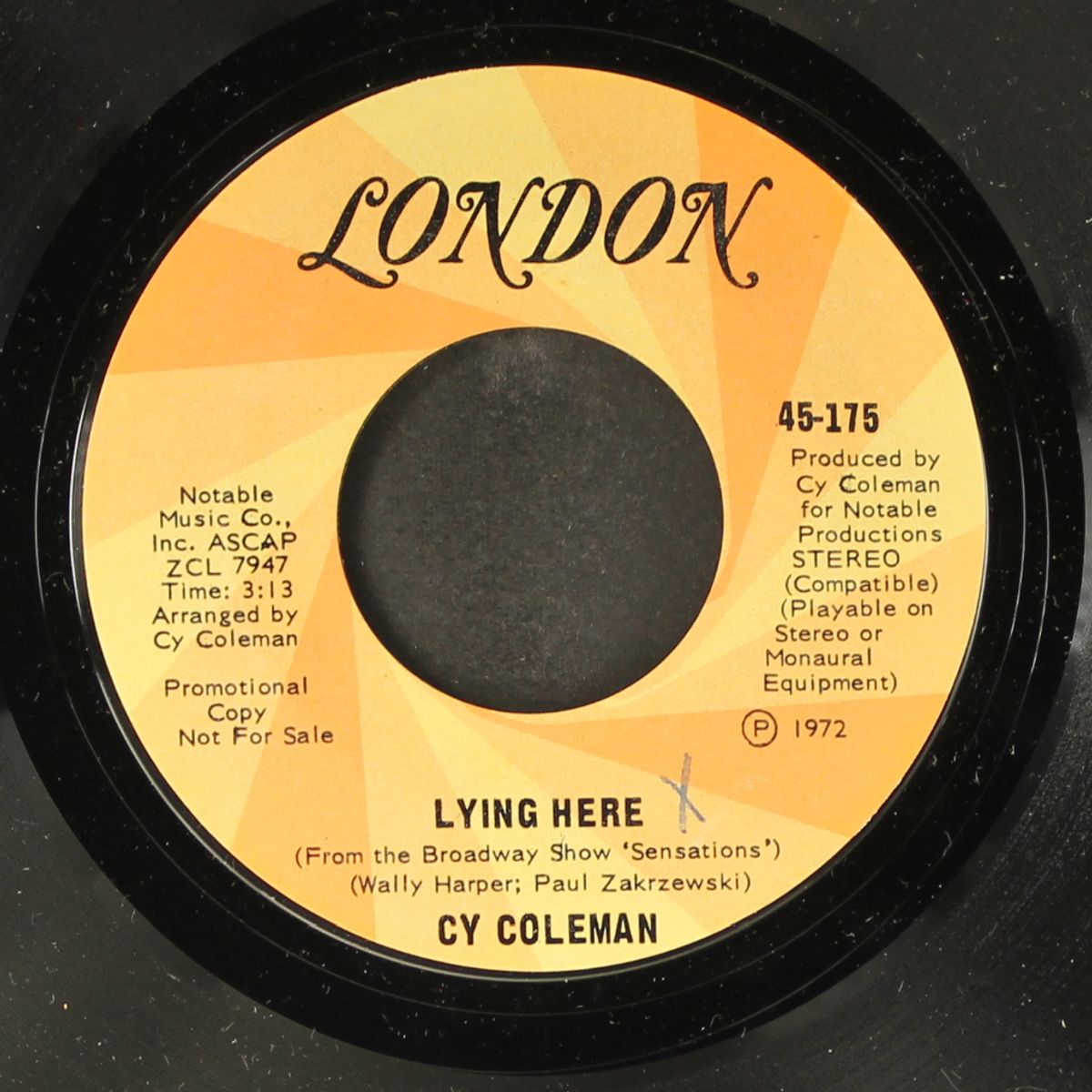 theme from the garden of finzi-continis by CY COLEMAN