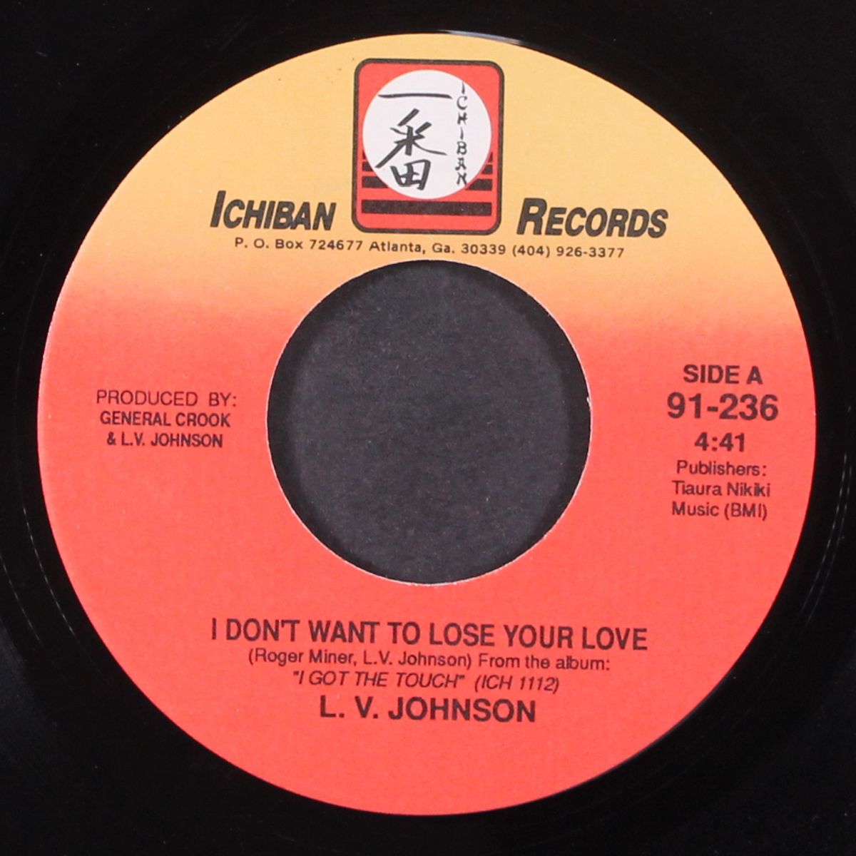 i don't want to lose your love by L.V. JOHNSON