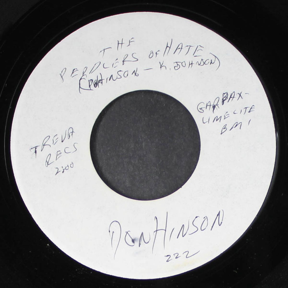 the protest singer by DON HINSON