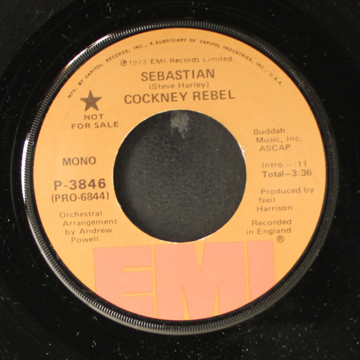 sebastian / mono by COCKNEY REBEL