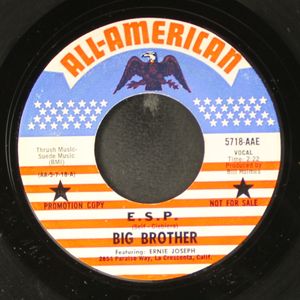 BIG BROTHER