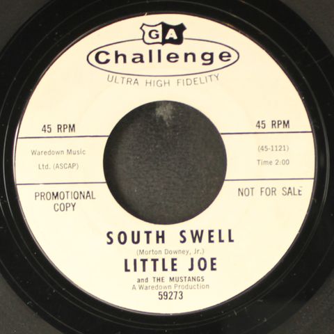LITTLE JOE & MUSTANGS