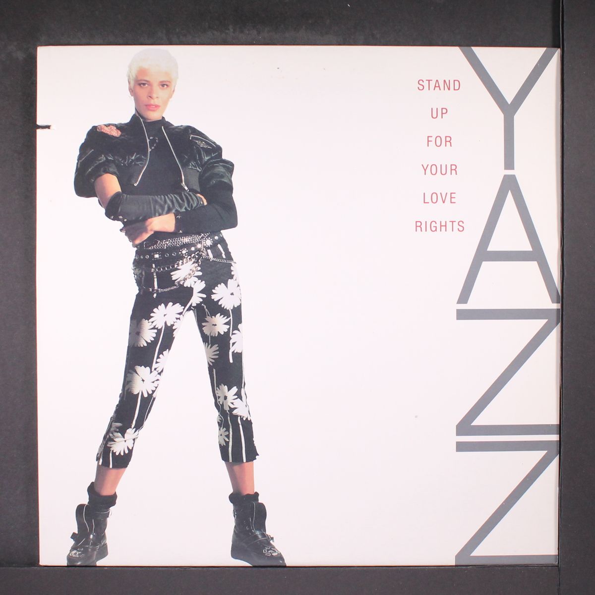 stand up for your love rights by YAZZ