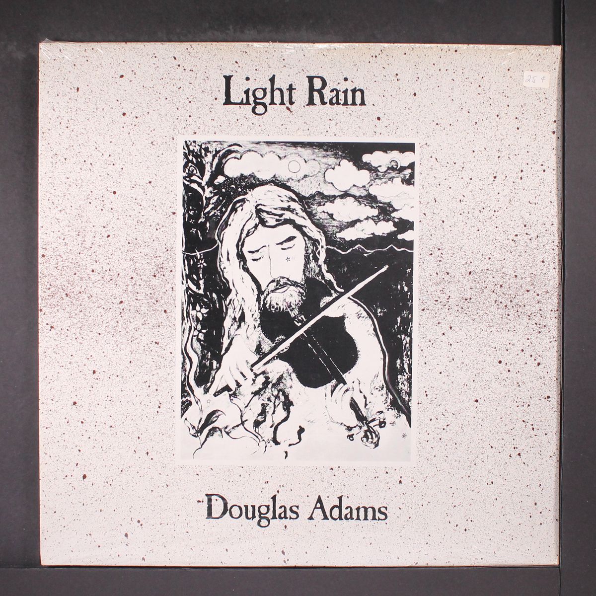 light rain by DOUGLAS ADAMS