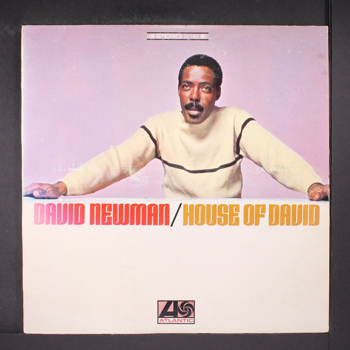house of david by DAVID NEWMAN
