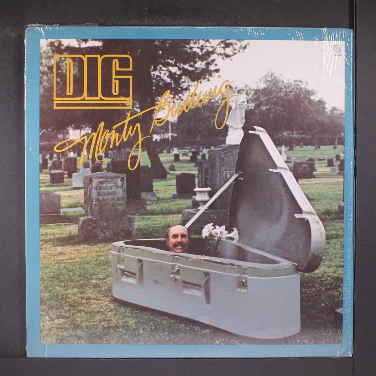 dig by MONTY BUDWIG