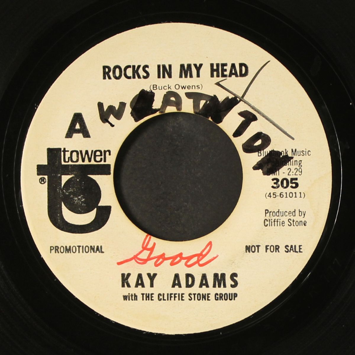 trapped / rocks in my head by KAY ADAMS