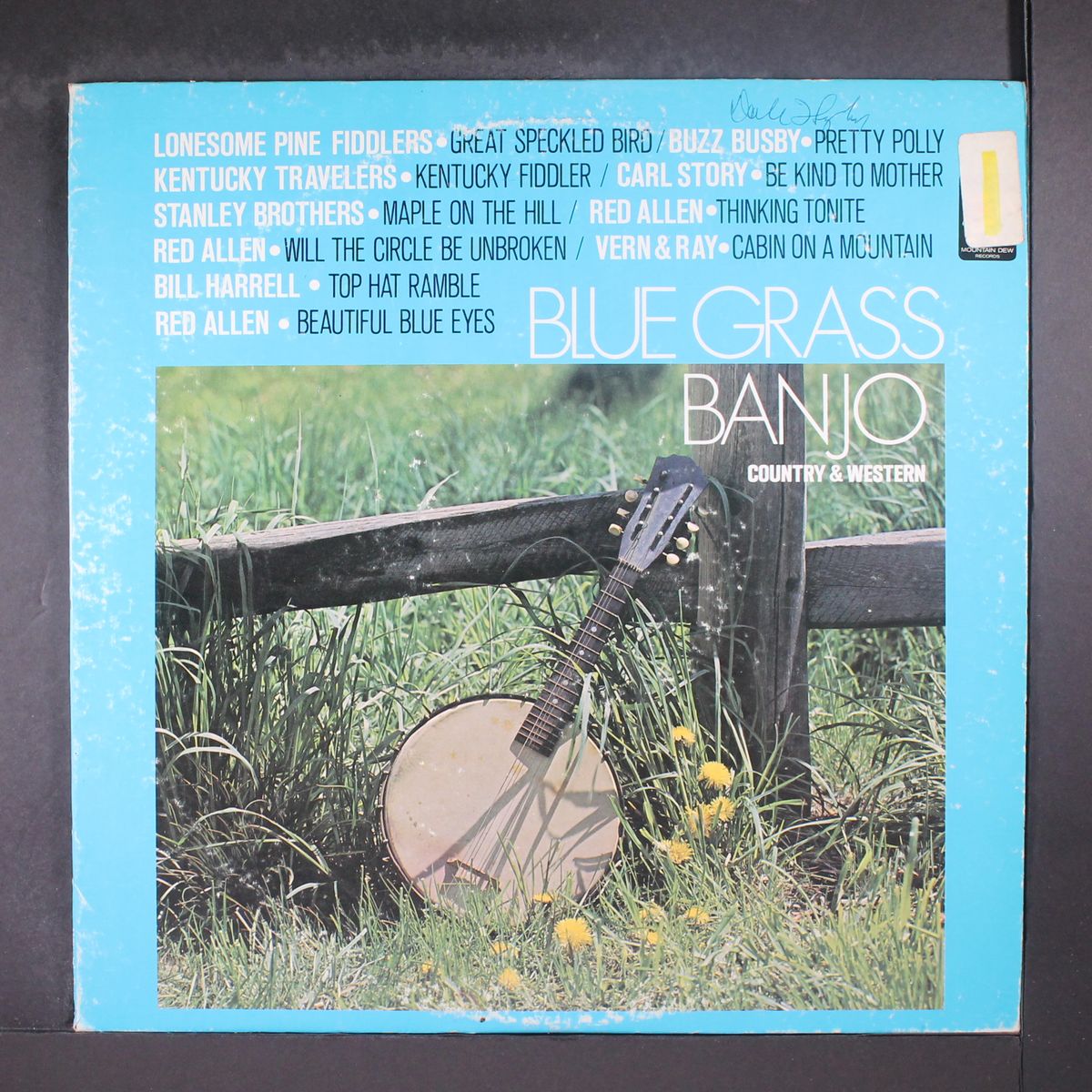 blue grass banjo by VARIOUS
