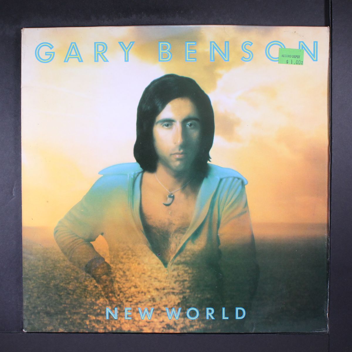 new world by GARY BENSON