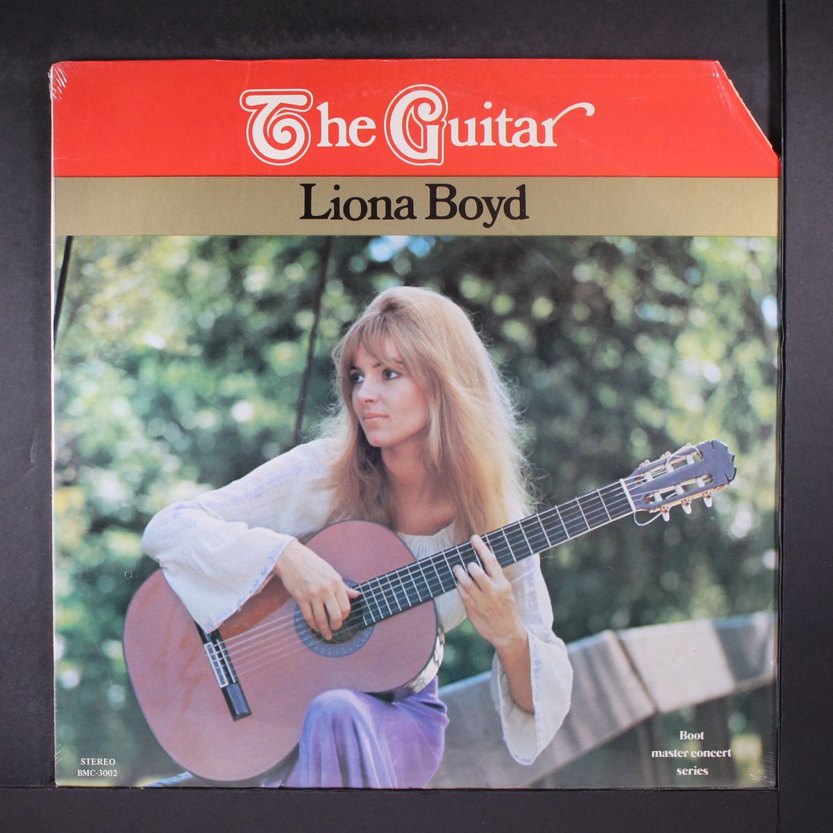 the guitar by LIONA BOYD