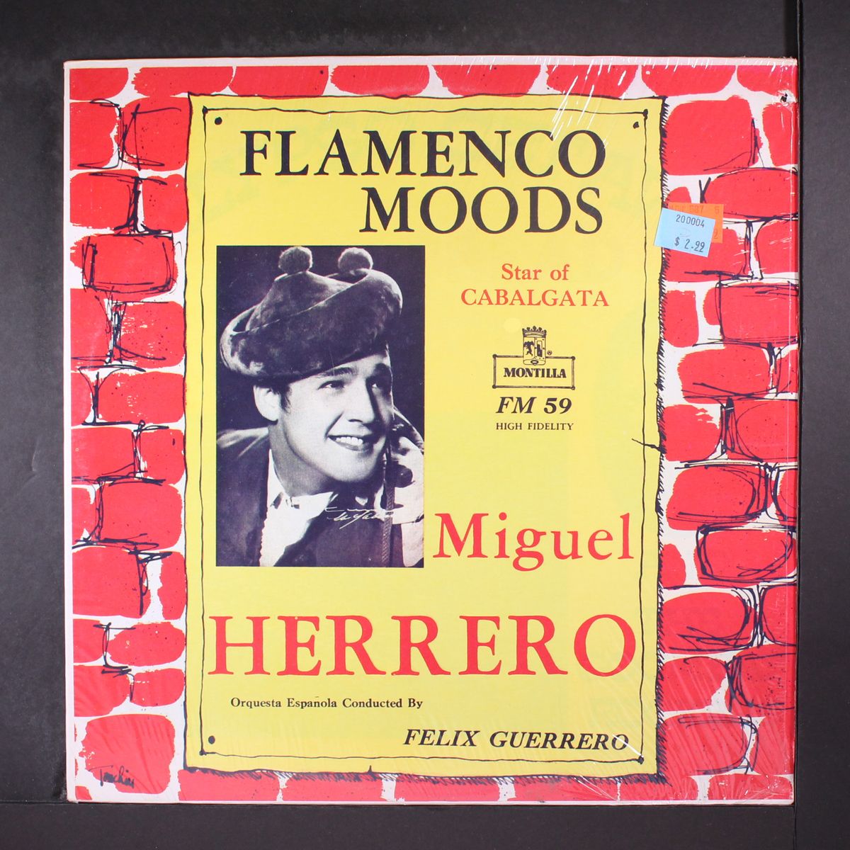 flamenco moods by MIGUEL HERRERO