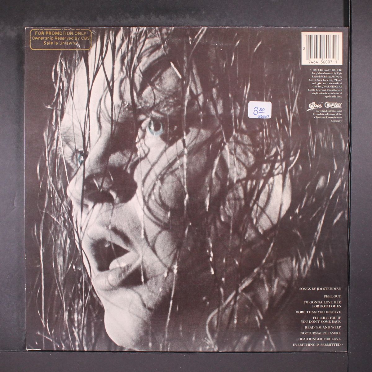 dead ringer by MEAT LOAF