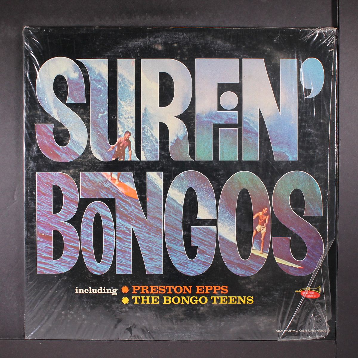 surfin' bongos by PRESTON EPPS / BONGO TEENS