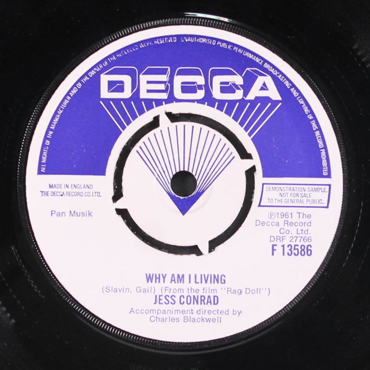 why am i living / pullover by JESS CONRAD