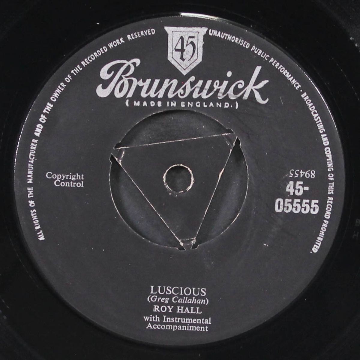 blue suede shoes / luscious by ROY HALL