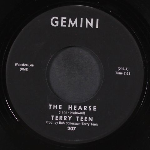 TERRY TEEN