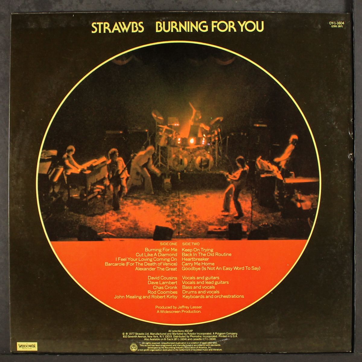 burning for you by STRAWBS