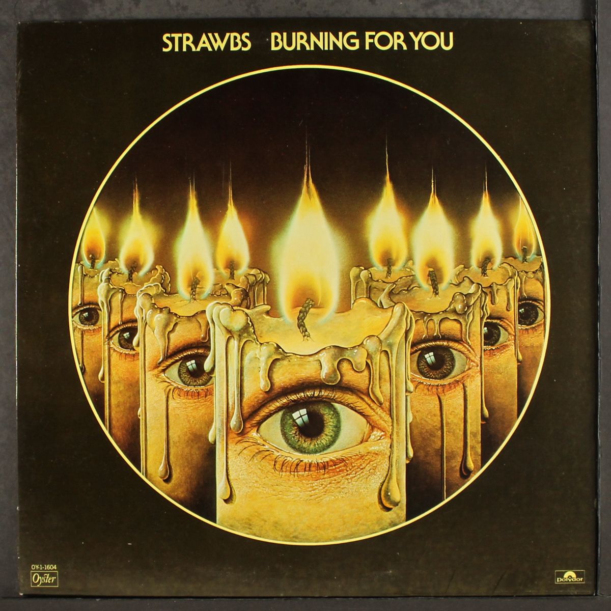 burning for you by STRAWBS